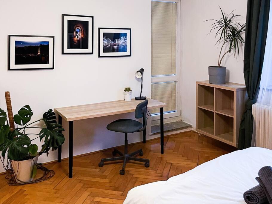 Rodinny Byt Pro 4 Na Brno-Stred Exterior photo